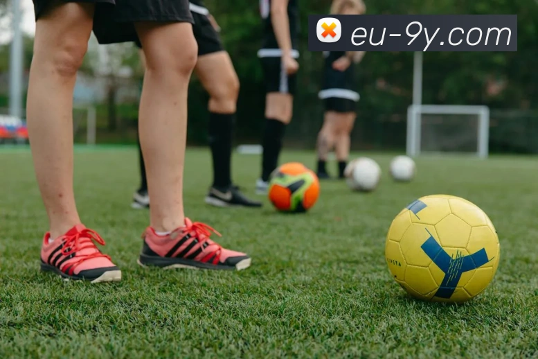 九游官网平台生态图